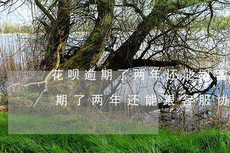 花呗逾期了两年还能跟客服协商吗-花呗逾期了两年还能跟客服协商吗怎么办