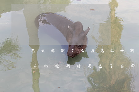 花呗逾期了之后怎么分期(花呗分期逾期了,现在把逾期的还完了后面要全部还清吗)