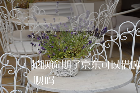 花呗逾期了京东可以借嘛(京东金融可以还花呗吗)