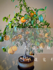 花呗逾期了会被拘留吗(花呗逾期真的会被起诉追究刑事责任吗)