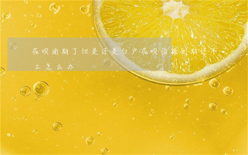 花呗逾期了但是还是白户(花呗临额到期还不上怎么办)