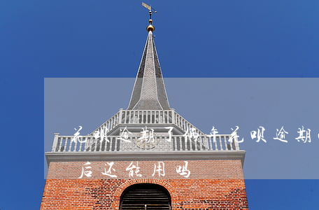 花呗逾期了俩年(花呗逾期两年了,如果还了,以后还能用吗)