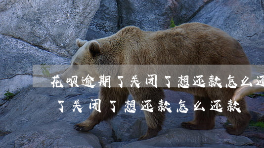 花呗逾期了关闭了想还款怎么还-花呗逾期了关闭了想还款怎么还款