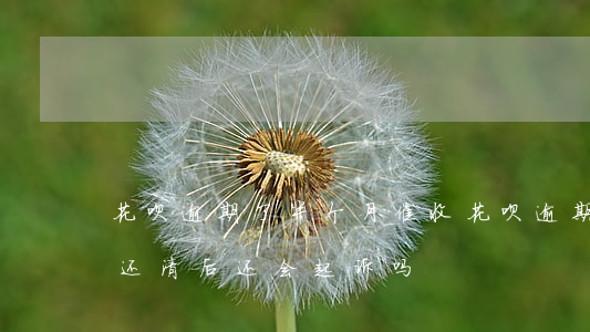 花呗逾期了半个月催收(花呗逾期电话催收了还清后还会起诉吗)
