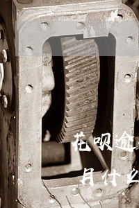 花呗逾期了半个月没事吗(花呗逾期不到1个月什么时候恢复可以用)