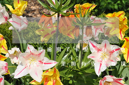 花呗逾期了卡里面有钱他直接扣吗-花呗逾期了卡里面有钱他直接扣吗安全吗