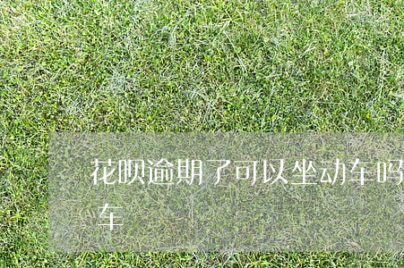 花呗逾期了可以坐动车吗(支付宝花呗逾期坐车)