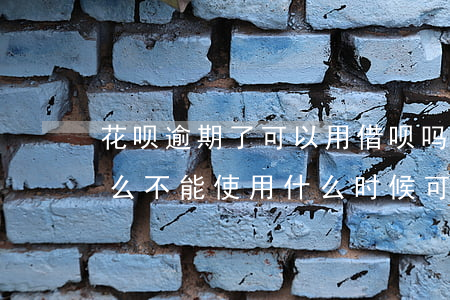 花呗逾期了可以用借呗吗(借呗逾期了花呗怎么不能使用什么时候可以使用花呗)