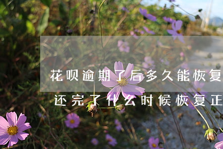 花呗逾期了后多久能恢复(花呗逾期好几个月还完了什么时候恢复正常)