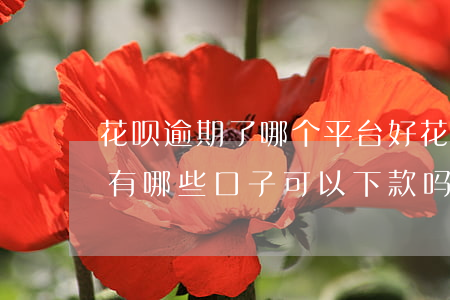 花呗逾期了哪个平台好(花呗逾期网贷逾期还有哪些口子可以下款吗)