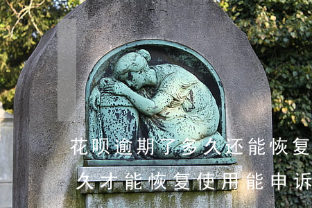 花呗逾期了多久还能恢复(花呗逾期还清后多久才能恢复使用能申诉么)