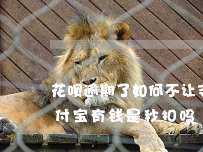 花呗逾期了如何不让支付宝秒扣(花呗逾期支付宝有钱是秒扣吗)