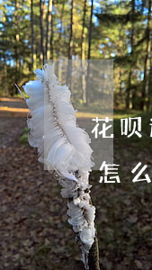 花呗逾期了影响坐火车嘛(花呗逾期几年后话怎么样影响坐车吗多少钱会影响)