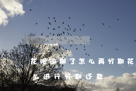 花呗逾期了怎么再分期(花呗已逾期的余额怎么进行分期还款)