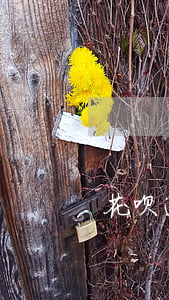 花呗逾期了怎么处罚（花呗逾期了怎么处罚）