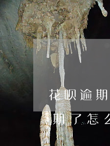 花呗逾期了怎么跟客服沟通分期还-花呗逾期了怎么跟客服沟通分期还款
