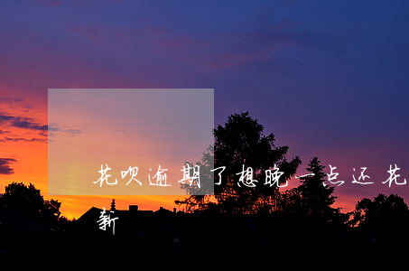 花呗逾期了想晚一点还(花呗晚还款半小时最新)