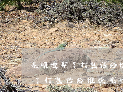 花呗逾期了打电话给谁说明情况-花呗逾期了打电话给谁说明情况呢