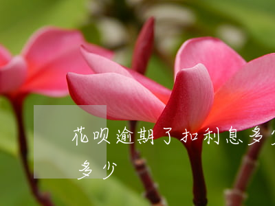 花呗逾期了扣利息多少-花呗逾期了扣利息多少