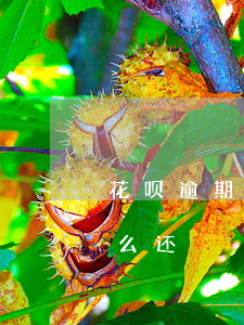 花呗逾期了把支付宝挂失(支付宝丢失花呗怎么还)
