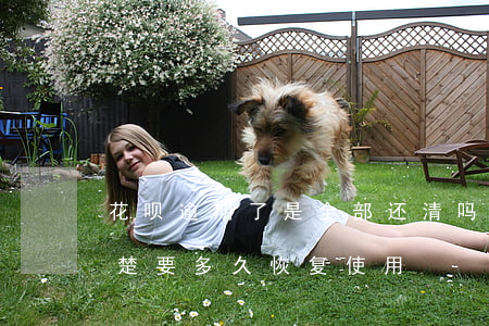 花呗逾期了是全部还清吗(花呗逾期已经还清楚,要多久恢复使用)