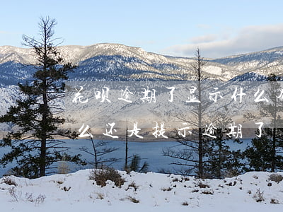 花呗逾期了显示什么界面(花呗并没有逾期怎么还是提示逾期了)