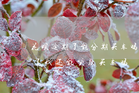 花呗逾期了能分期买车吗(花呗逾期好几个月了我还能贷款买车吗)