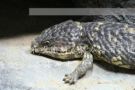 花呗逾期了能办信用卡还吗 花呗有逾期能否办信用卡