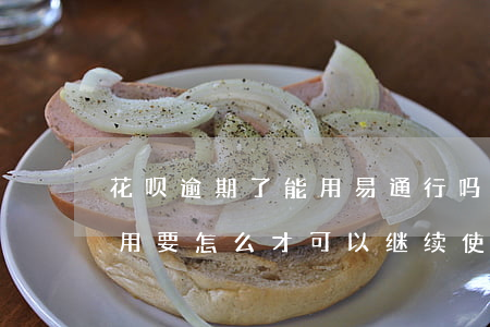 花呗逾期了能用易通行吗(花呗逾期后不能使用要怎么才可以继续使用)