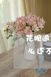 花呗逾期了能用花呗不(花呗逾期已经还了,怎么还不可以用花呗)