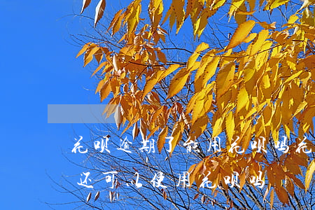 花呗逾期了能用花呗吗(花呗还款后不算逾期还可以使用花呗吗)