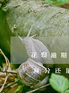 花呗逾期了芝麻分长不(花呗逾期降了好多芝麻分,还能慢慢恢复吗)
