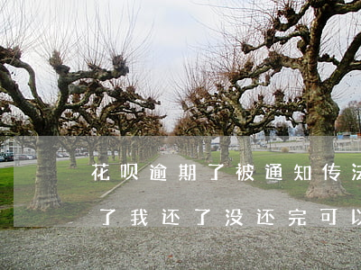 花呗逾期了被通知传法院(花呗逾期电话通知了我还了没还完可以吗)