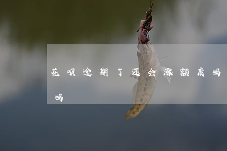 花呗逾期了还会涨额度吗(花呗还了额度会涨吗?)
