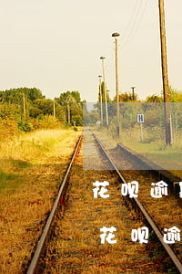 花呗逾期了还可以在360借条上借钱么-花呗逾期了还可以在360借条上借钱么