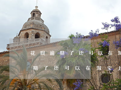 花呗逾期了还可以在淘宝上使用吗-花呗逾期了还可以在淘宝上使用吗安全吗