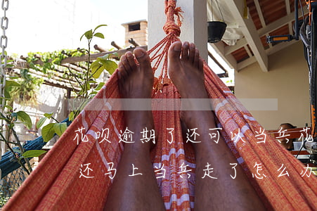 花呗逾期了还可以当兵(花呗还有1000没还马上当兵走了怎么办)