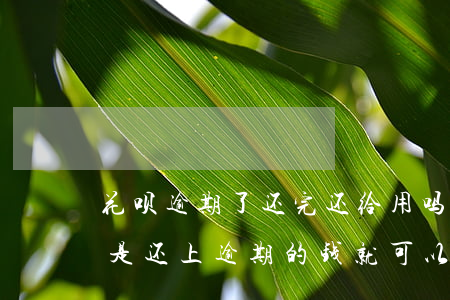 花呗逾期了还完还给用吗(花呗逾期的话是不是还上逾期的钱就可以了)
