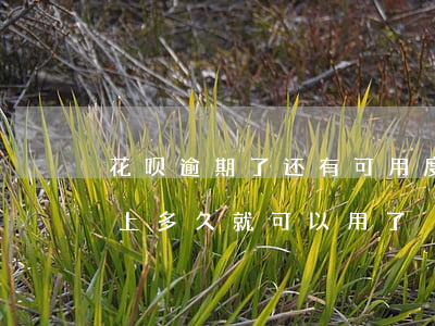 花呗逾期了还有可用度(花呗逾期不能用了,还上多久就可以用了?)
