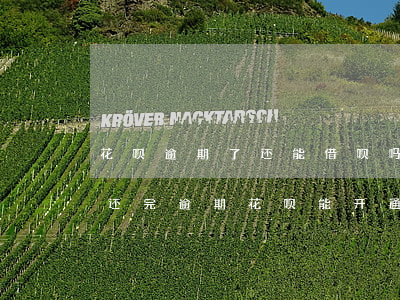 花呗逾期了还能借呗吗(借呗逾期花呗也停了,还完逾期花呗能开通吗)
