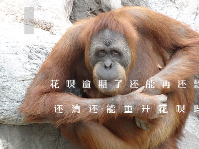 花呗逾期了还能再还款么(花呗逾期几个月后还清还能重开花呗吗)