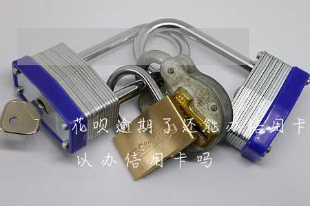 花呗逾期了还能办信用卡吗(花呗有逾期过可以办信用卡吗)