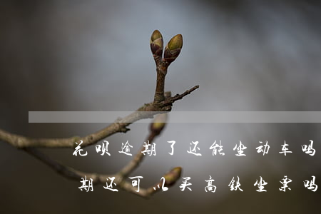 花呗逾期了还能坐动车吗(支付宝花呗借呗逾期还可以买高铁坐票吗)