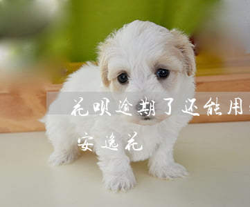 花呗逾期了还能用安逸花(花呗逾期了还能用安逸花)