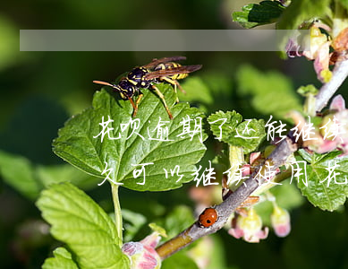 花呗逾期了还能继续还吗(花呗逾期还完后多久可以继续使用花呗)