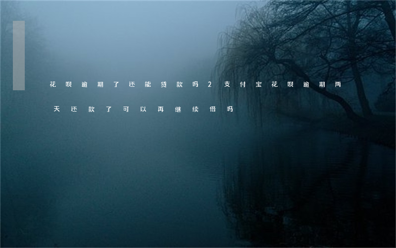 花呗逾期了还能贷款吗2(支付宝花呗逾期两天还款了可以再继续借吗)