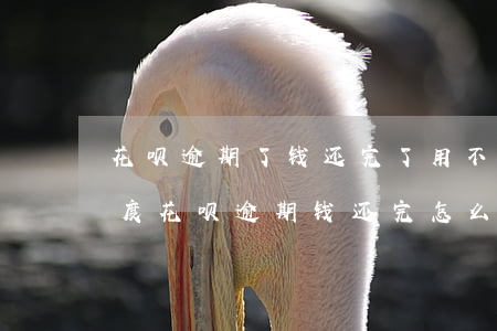 花呗逾期了钱还完了用不了可是还有可用额度（花呗逾期钱还完怎么能用）
