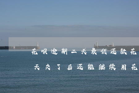 花呗逾期二天最低还款(花呗最低还款逾期4天,交了后还能继续用花呗吗)