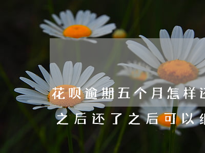 花呗逾期五个月怎样还款(花呗逾期五天还了之后还了之后可以继续使用吗)