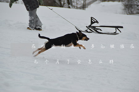 花呗逾期五十多元被催(花呗逾期五十块钱好几个月了会怎么样)